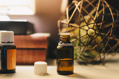 The Do’s and Don’ts of essential oils use for pet owners