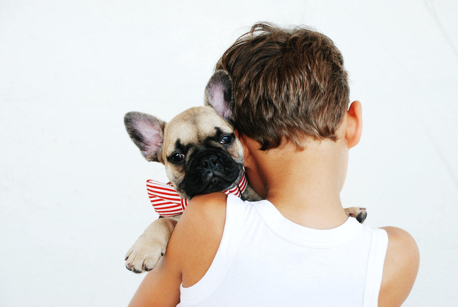 Pets and small children. Do’s and Don’ts.