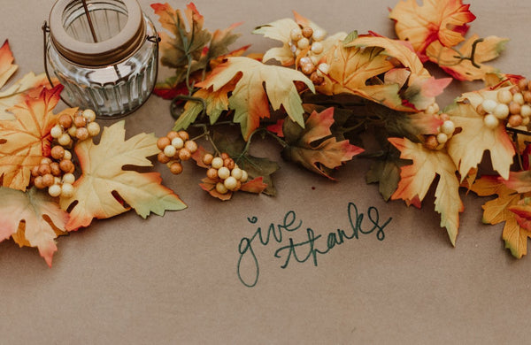 Five Tips for a Pet-Friendly Thanksgiving