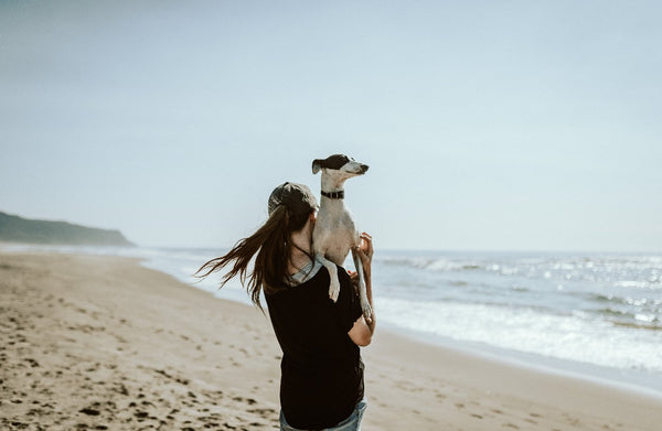 Doggo bonding time: 5 tips for an unbreakable connection
