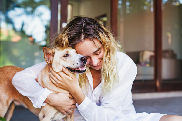 Debunking Odor Myths About Pet Odor Removal