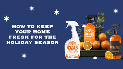 How to Keep the Home Fresh for the Holidays
