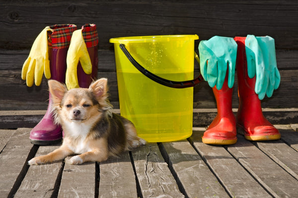 The Best Non-Toxic Cleaning Products for Pets