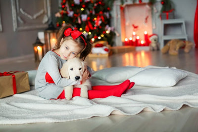 What to Consider When Gifting a Puppy for Christmas