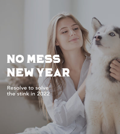 Top 5 New Year’s Resolutions for a Cleaner Home in 2022