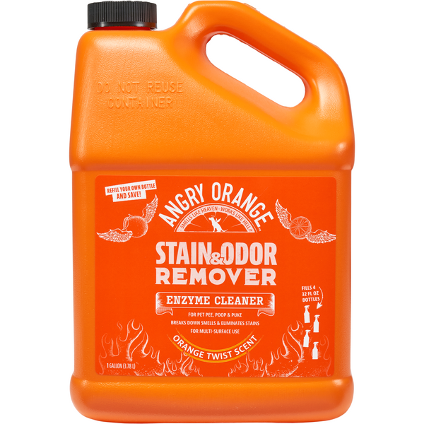 Dual Action Pet Stain & Odor Remover - Gallon Size