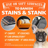 Carpet & Upholstery Cleaner