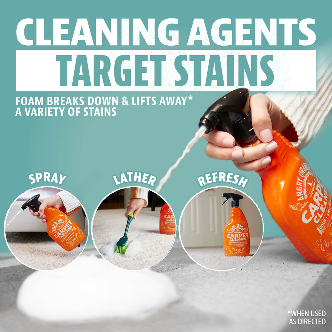 Carpet & Upholstery Cleaner - Thumbnail 2