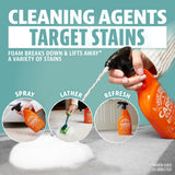Carpet & Upholstery Cleaner