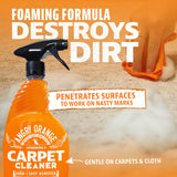 Carpet & Upholstery Cleaner