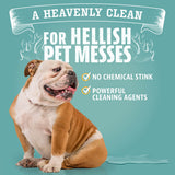 Carpet & Upholstery Cleaner