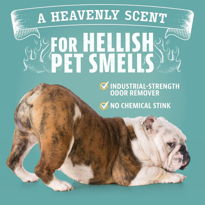 Angry Orange Complete Pet Odor Removal Kit -2