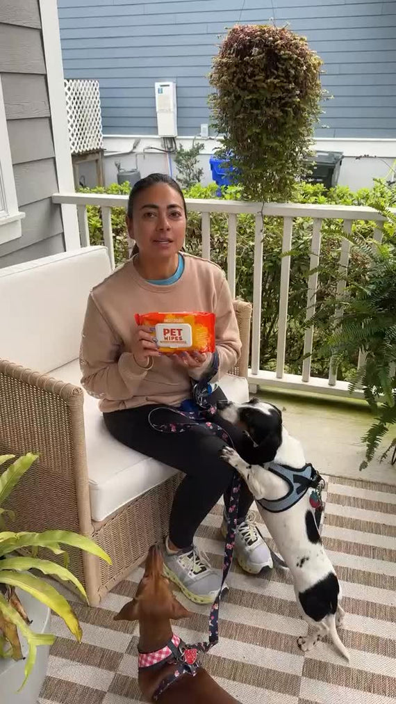 Angry Orange Pet Wipes - Dog Walk Essential - Instagram UGC
