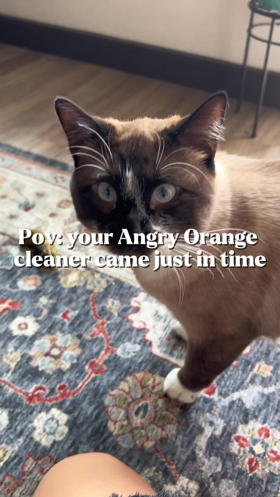 Angry Orange Pet Odor Eliminator - Instagram UGC