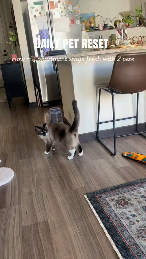 Angry Orange Pet Odor Eliminator - Instagram UGC